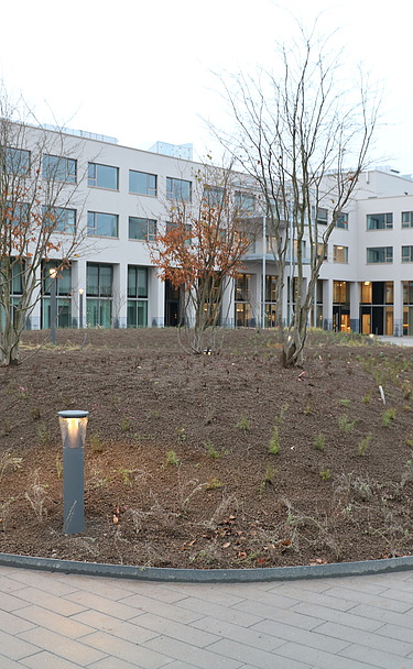  Foto van de voorgevel en het centrale plein voor het nieuwe WZC De Reiger in Temse.